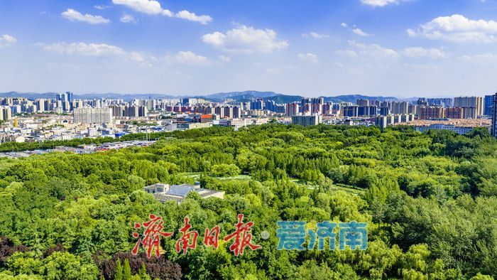 清风伴晴空 绿意满公园 泉城夏日氛围感拉满