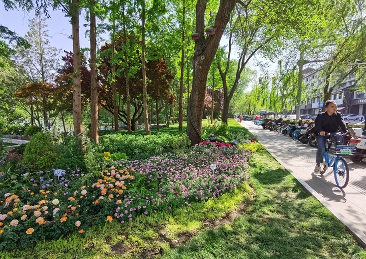 “泉”在济南过五一｜大明湖南岸改造显成效 人在画中游