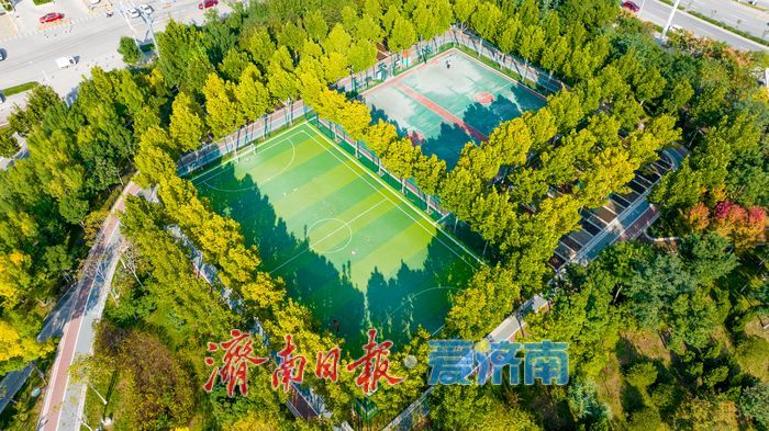 秋色如画正当时 望岳康体公园粉黛花开引客来