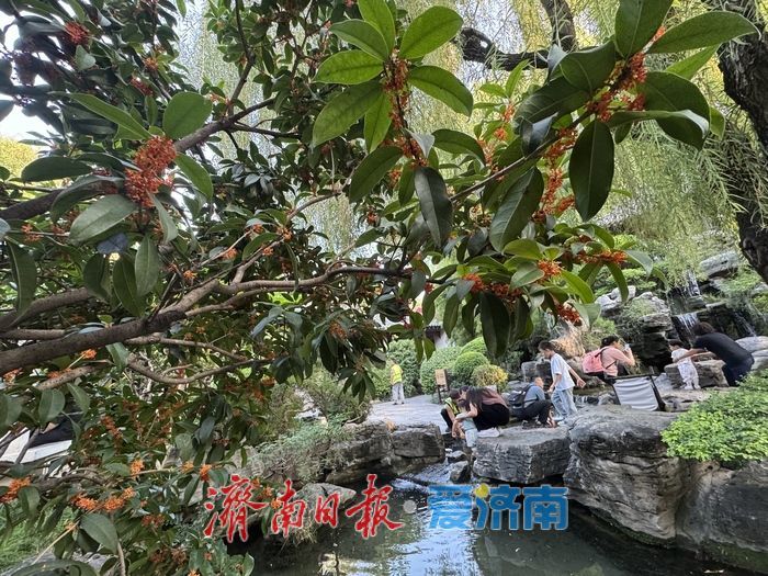 一年四季 泉在济南 