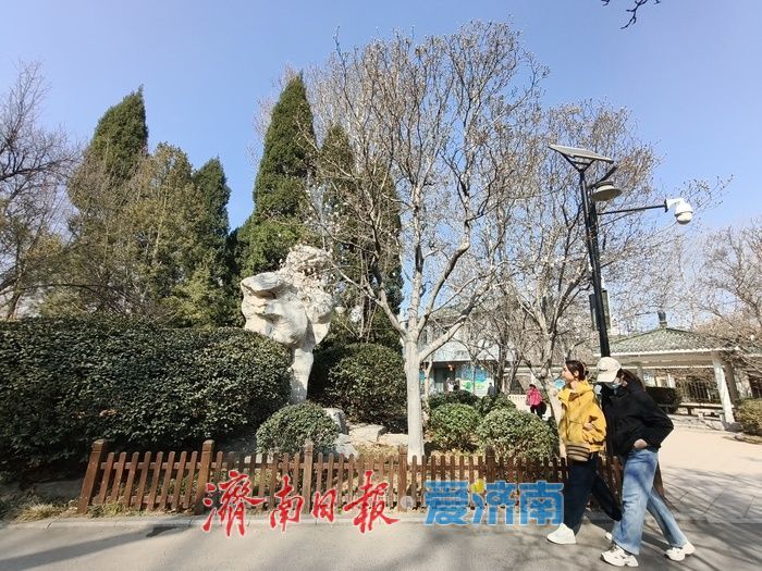 一年四季 泉在济南丨玉兰初绽报春归 百花公园奏响春日序曲