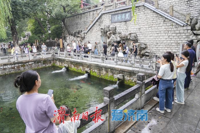 一年四季 泉在济南丨夏雨送清凉，济南护城河畔风景如画