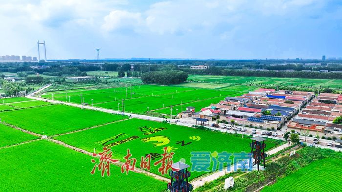 向土地“要效益” 为发展“守根基”——济南市自然资源和规划局奏响高质量发展强音