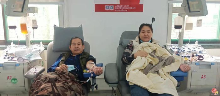 白岩松点赞“热血家庭”：三十六年从未间断一家四口挽臂成林