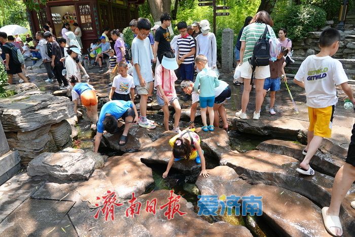 泉城热浪蒸腾 趵突泉畔亲泉戏水寻清凉