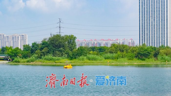 生态湖畔景怡人 云锦湖末伏风光不负佳期
