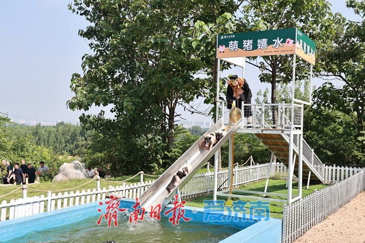 济南钢城区官庄村：矿坑焕新颜 山村启新程