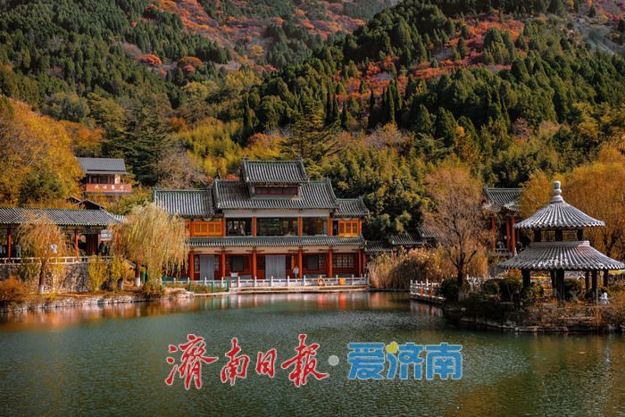 一年四季 泉在济南丨济南红叶谷：满山红遍燃秋意，层林尽染醉游人