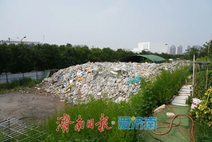 公正司法守护生态底色 济南市首例适用生态环境法典案件宣判