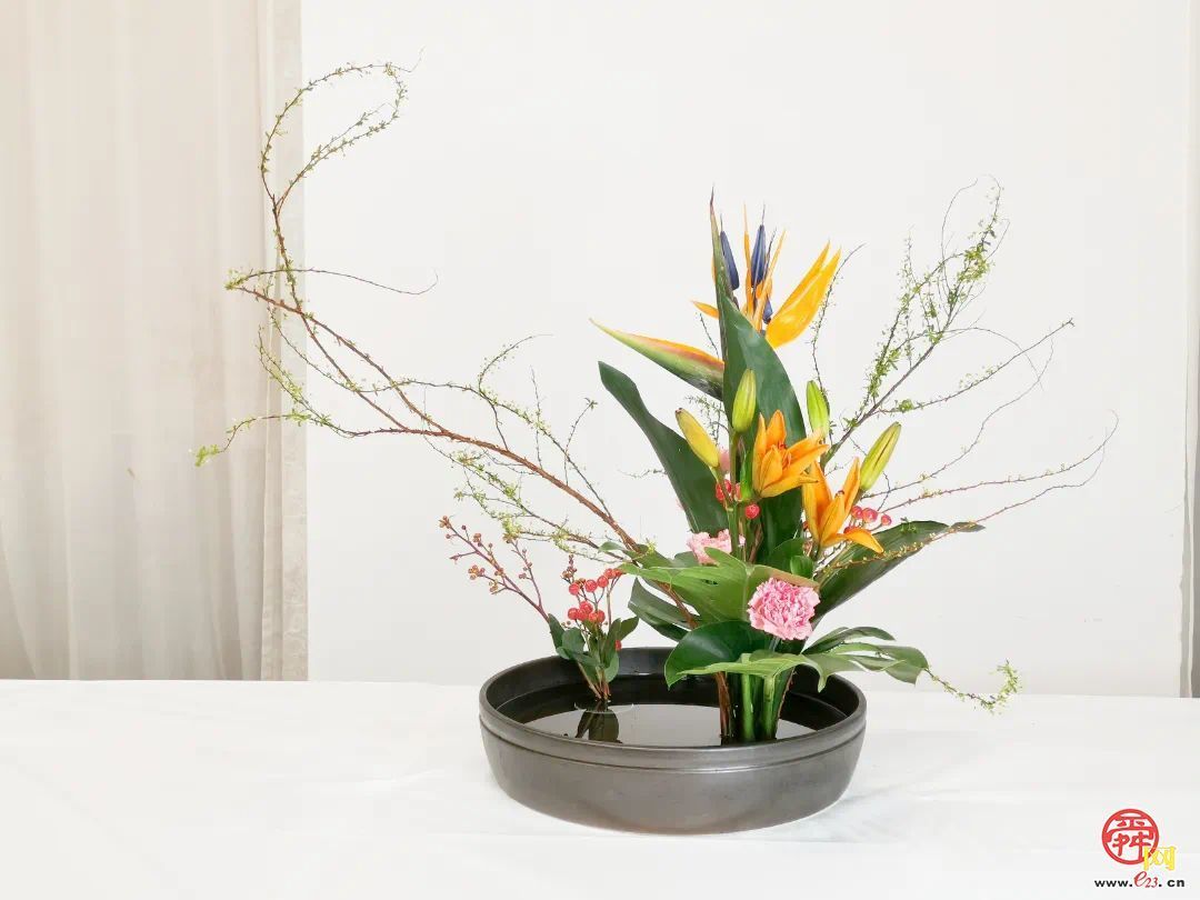 与鲜花相逢，共赴“花漾”之约