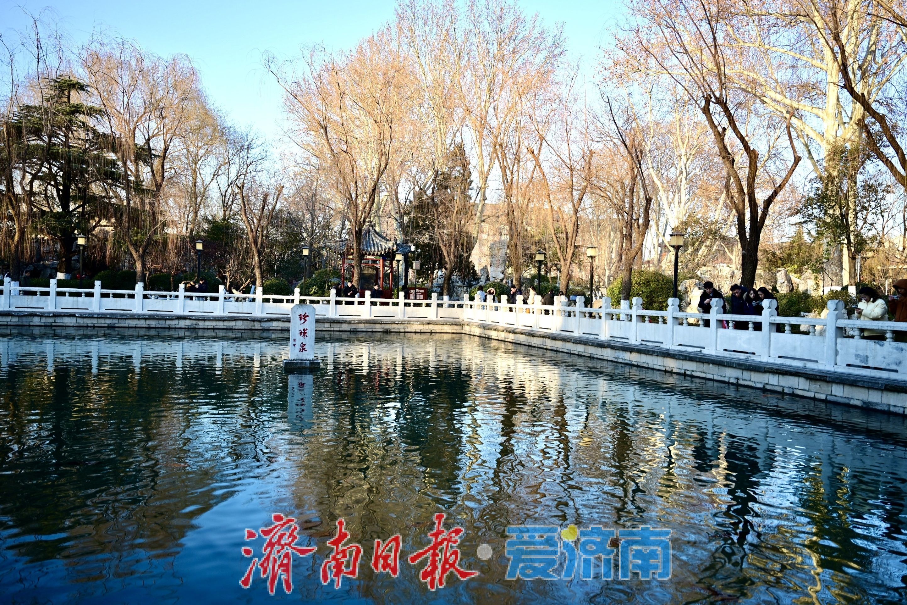 珍珠泉畔人气旺 游客打卡定格泉城冬日灵动之美