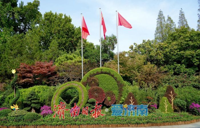 亮点纷呈 体验升级 第46届趵突泉金秋菊展今起开展