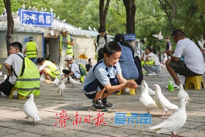 一年四季 泉在济南｜济南动物园暑期人气旺，亲子游成主流