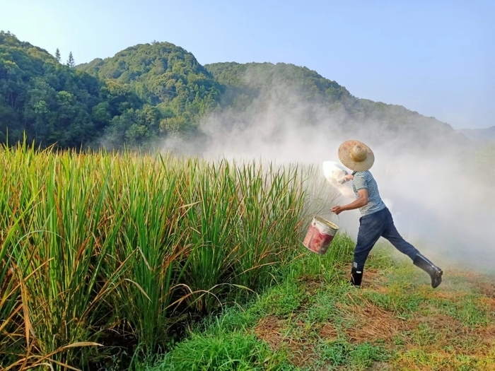 解暑尝鲜正当时，“水八仙”集中在济南上市