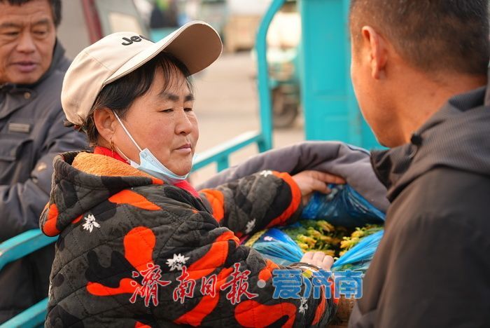 晨光下的车水马龙：黄瓜批发市场开市忙