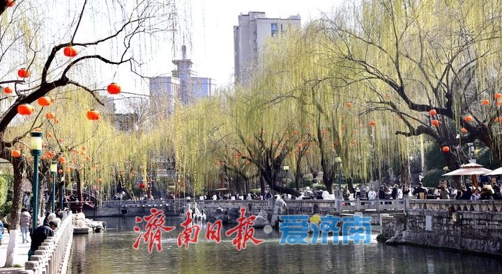 济南护城河畔春意现 蓝天回归柳色新