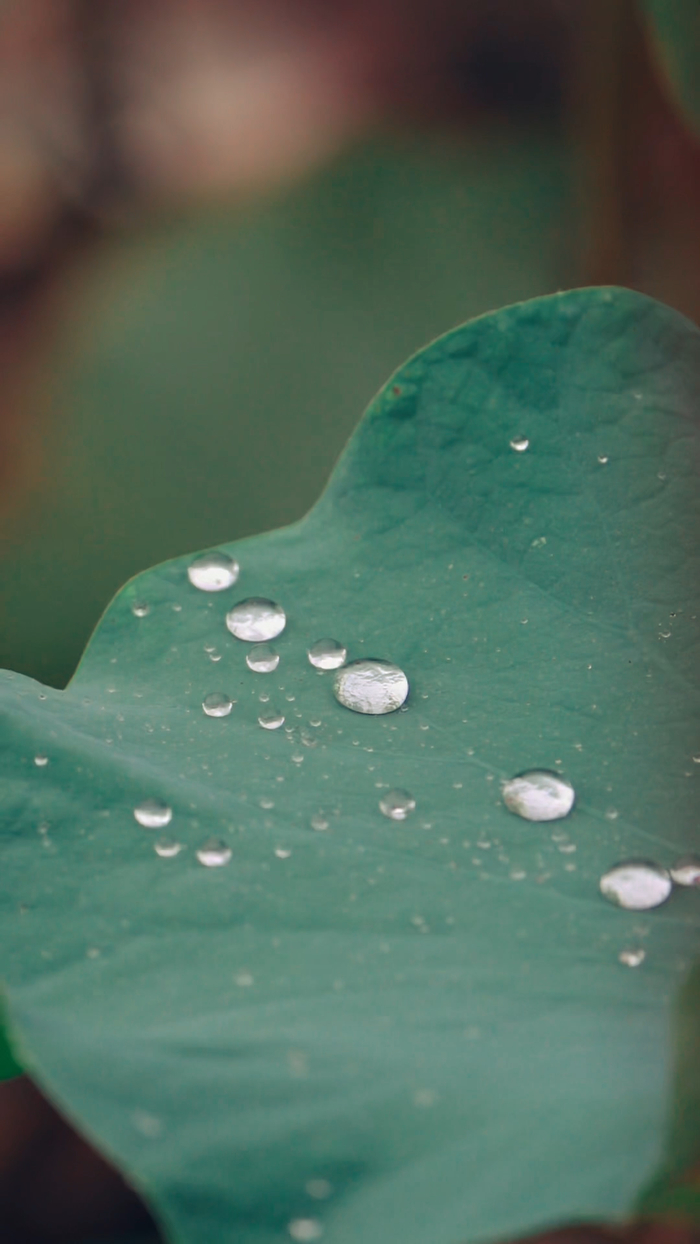 在华山邂逅现代版的“孤舟蓑笠翁”
