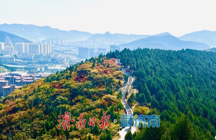 一年四季 泉在济南丨一山两季！泉城蝎子山秋色渐浓