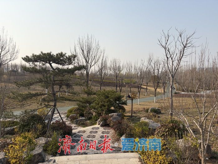 海右新论｜在济南这座城市，有一种幸福叫推窗见绿