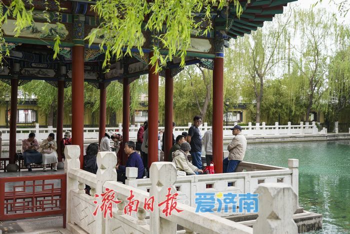 谷雨时节 济南珍珠泉泉涌如珠