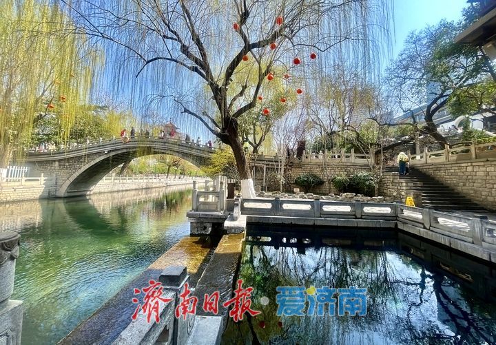 济南护城河畔春意现 蓝天回归柳色新