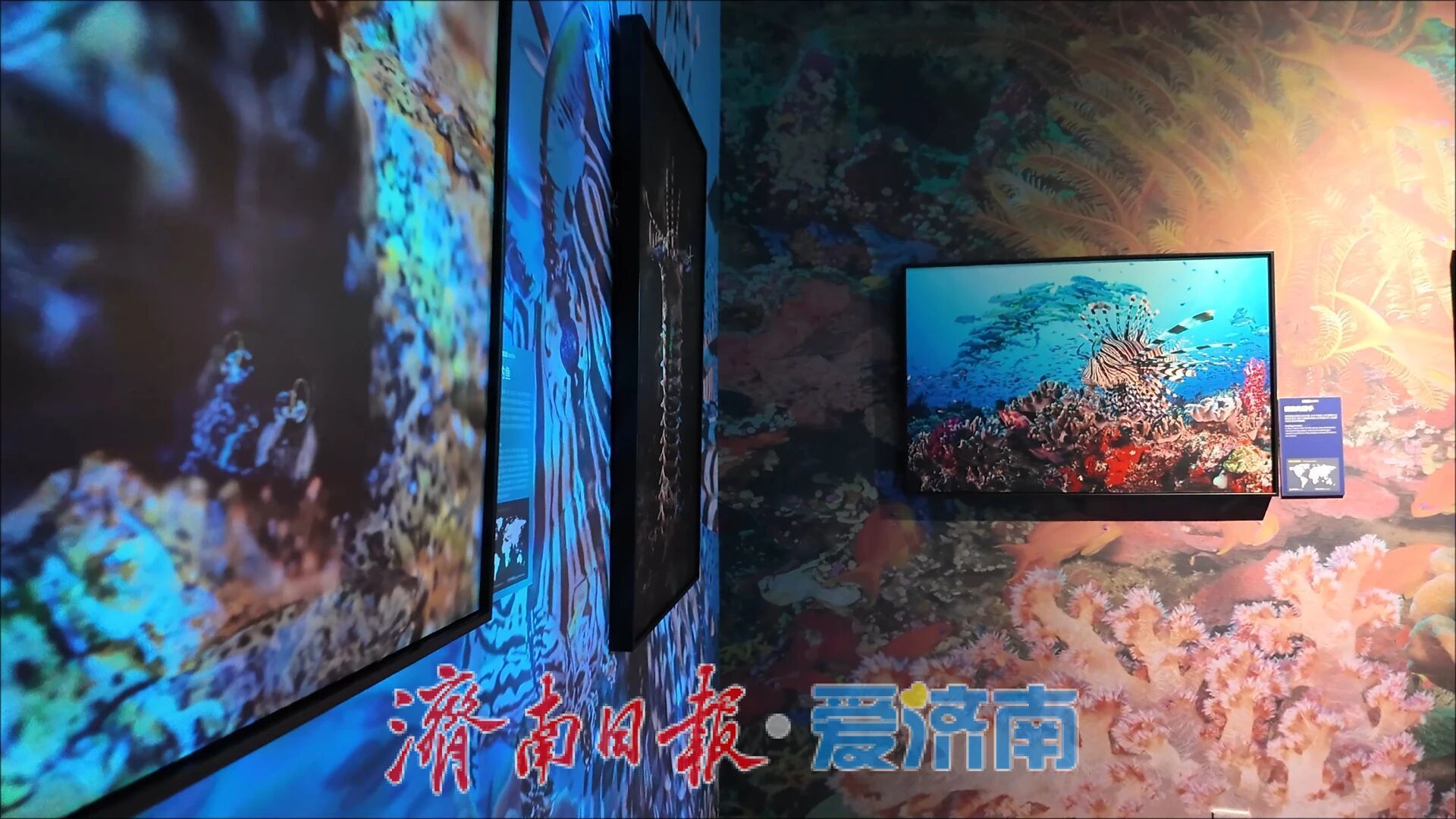 山东首展！BBC EARTH·极地生灵数字影像沉浸体验大展在山东大厦启幕