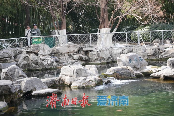 群泉欢腾！雨雪助力趵突泉、黑虎泉地下水位回升