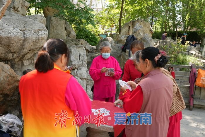 一年四季 泉在济南丨绿荫泉水伴笑语，初夏休闲好时光