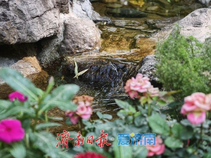 雾起溪畔，在园林间遇见清泉漫石之美