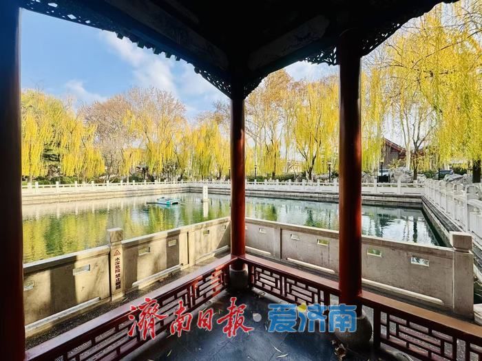 一年四季 泉在济南｜蓝天白云映清泉 济南珍珠泉冬日景致引客来