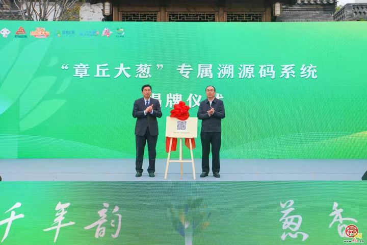 一棵葱“长”出35亿全产业链！