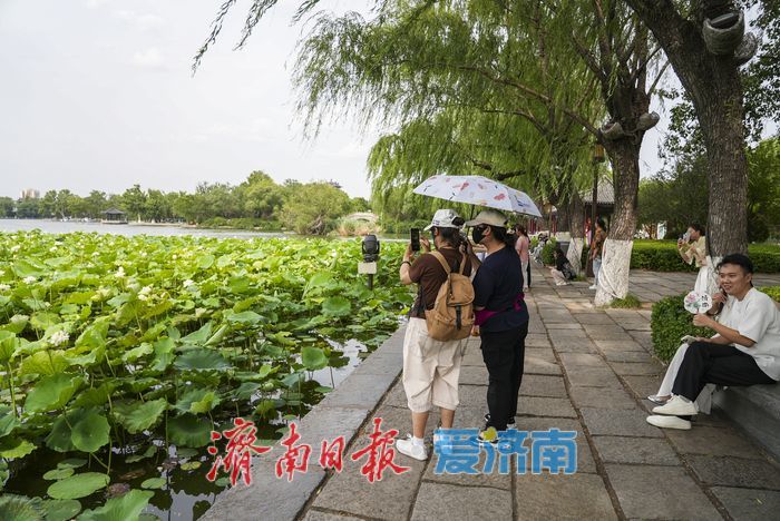 一年四季 泉在济南 