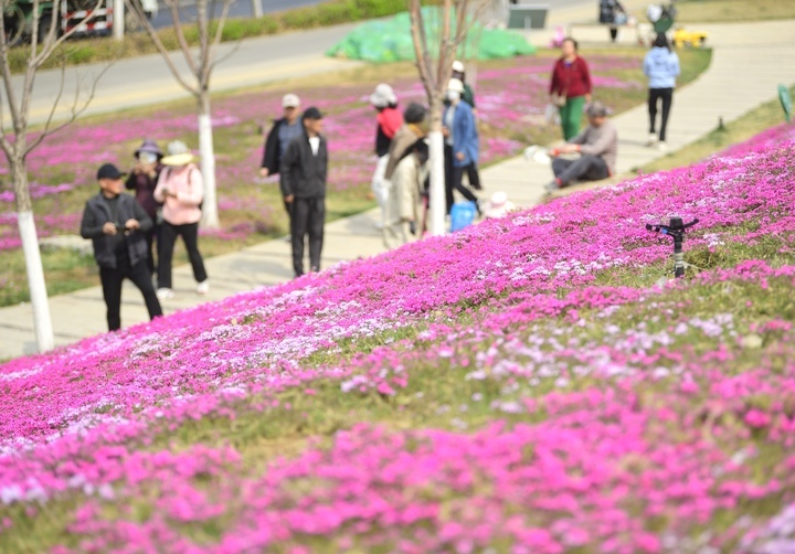 “泉”在济南过五一 