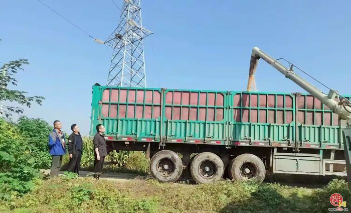 章丘圣井街道：农业之花绽放在耕耘里