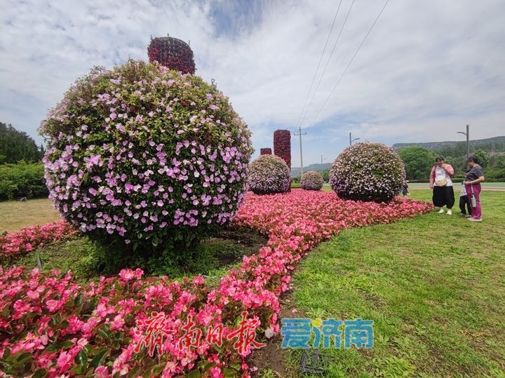 一年四季 泉在济南丨环湖路化身 “花廊” 引客打卡留影