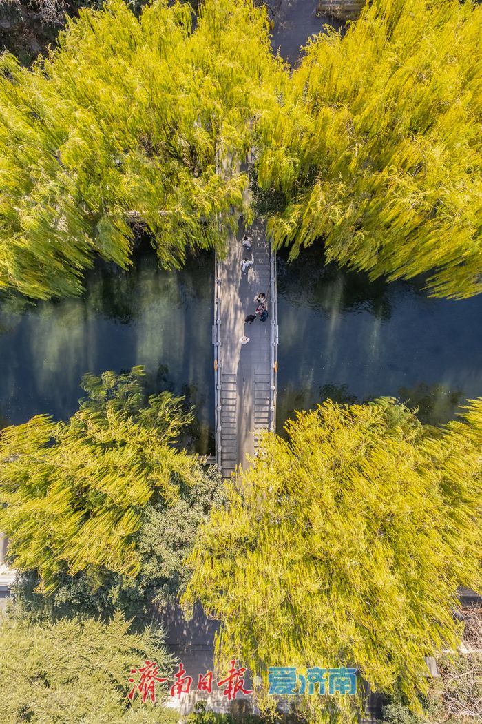 一年四季 泉在济南丨护城河畔诗意浓