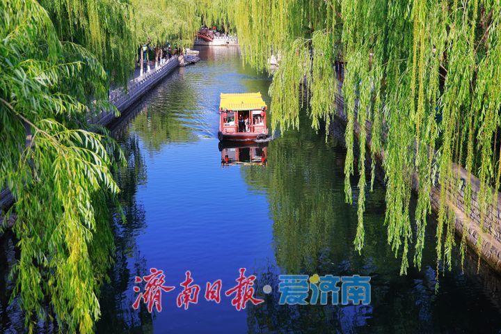 一年四季 泉在济南丨水清岸绿景如画 初夏护城河绘就生态画卷