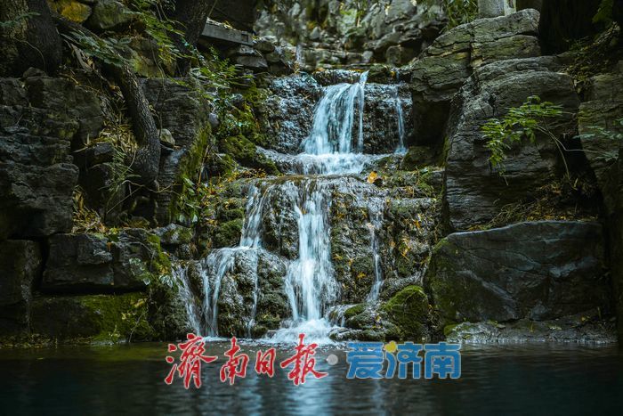 一年四季 泉在济南丨涌泉竹林景区泉竹相依，市民山间赏泉纳凉的好去处