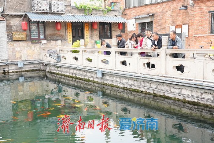 一年四季 泉在济南｜泉涌鱼游花相伴！雨后王府池子焕新姿
