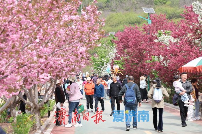 千亩海棠盛放寄母山 赏花经济激活乡村增收