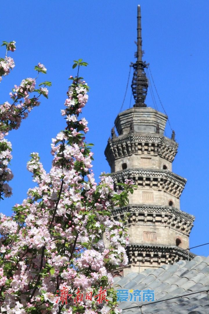 抓住假期的尾巴！济南这波春日快乐，今天必须赶上！