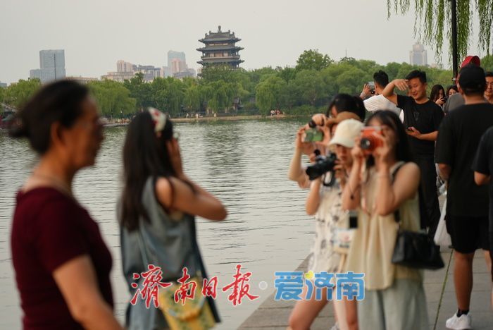 一年四季 泉在济南丨大明湖荷花迎最佳观赏期 游人沉醉夏韵芬芳