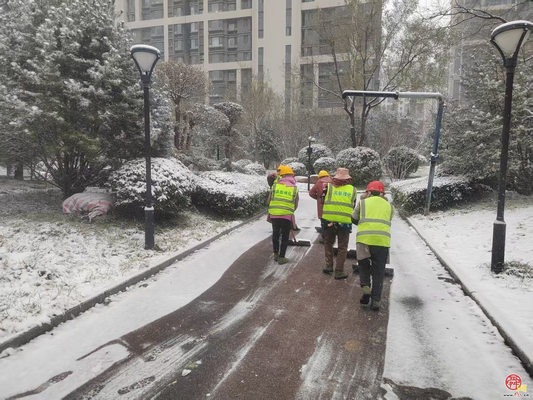 济南园林和林业绿化系统积极应对寒潮雨雪天气