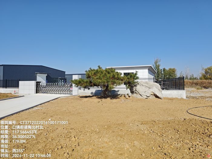 废弃矿山变身绿水青山 济南擦亮绿色发展底色