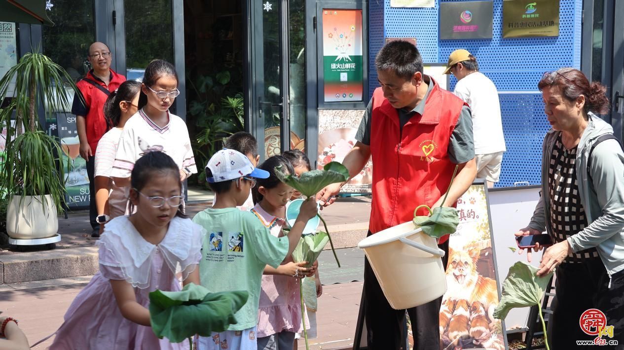 科学认知+艺术创造+文化传承 济南“园·林惠民行”带青少年探秘“荷”世界
