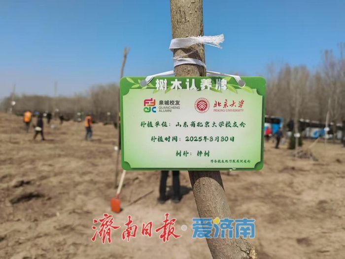 济南市开展校友林植树活动