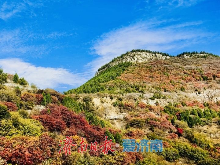 蓝天白云作幕 济南劈山秋景入画来