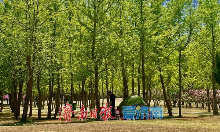 济南森林公园成市民露营健身好去处