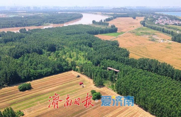 大面积夏收即将开始