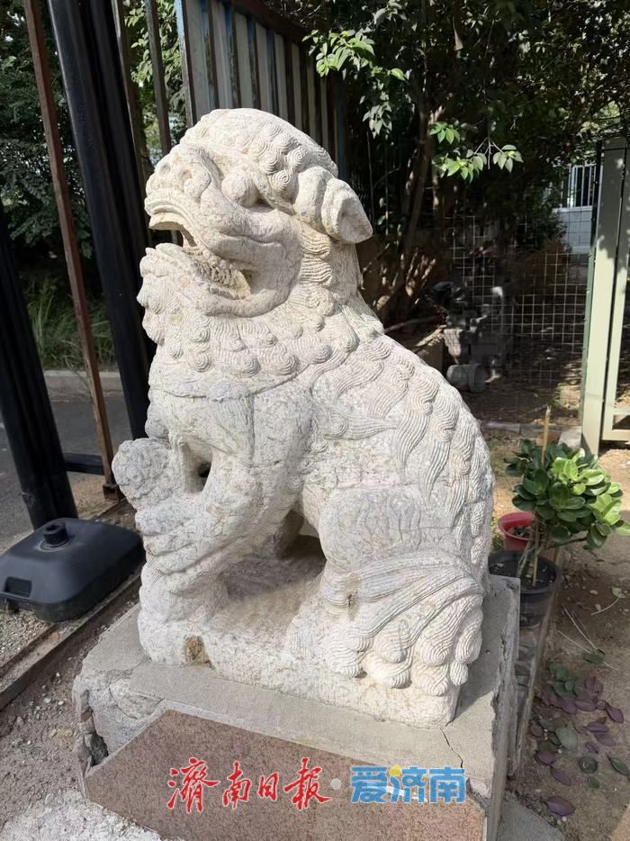 济南经十西路旁，一对清代石狮的百年守望